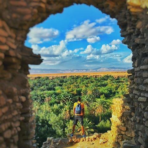 Kasbah Tiriguioute Ξενοδοχείο Skoura Εξωτερικό φωτογραφία