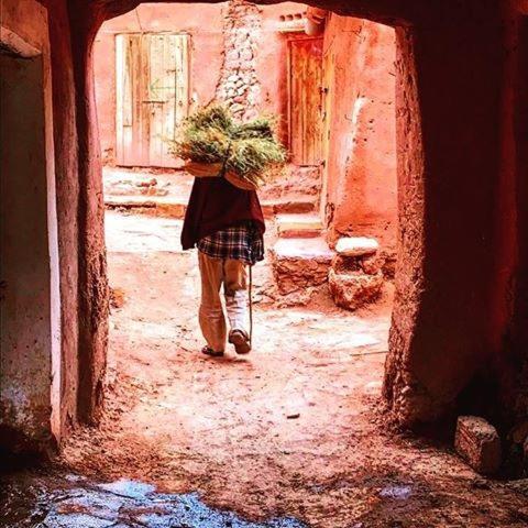Kasbah Tiriguioute Ξενοδοχείο Skoura Εξωτερικό φωτογραφία
